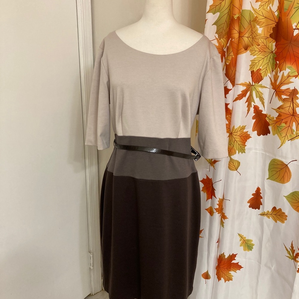 NWT connection dress size 12 lovely dress